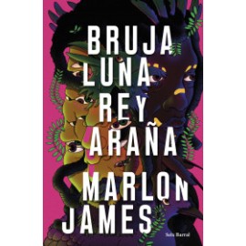 Bruja Luna, Rey Araña